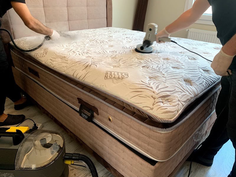 Professional rug cleaning in London